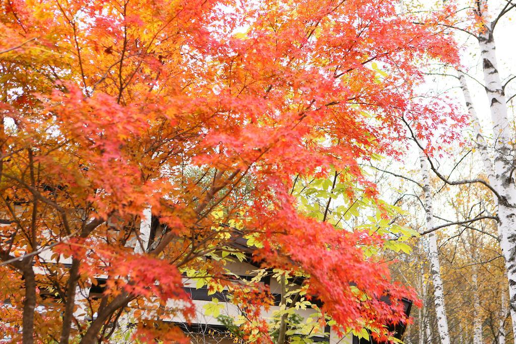 ホテル 小梨の湯 笹屋 松本市 エクステリア 写真